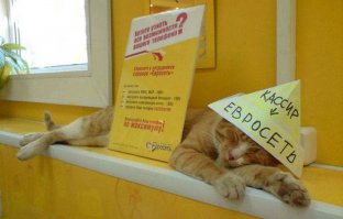 Необычные продавцы, от которых без покупки не уйдешь 