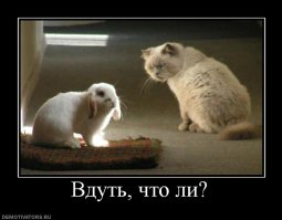 Необычные продавцы, от которых без покупки не уйдешь 