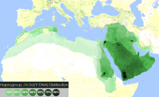 «про каких ханаанцев вы говорите (ханаанци это не народ а несколько абсолютно разных народов которые проживали в земле Ханаанской)?»
...я не знаю, на каких несколько народов вы поделили ханаанейцев, но тут указано ( , раздел "Гаплогруппа E и E1b1b1"), что они принадлежат к гаплогруппа E1b1b1с (snp М123), отдельная ветка никакого отношения к семитам J1 не имеющая, поэтому ваша первоначальная фраза о том, что «возможно евреи потомки "ханаанце"», просто безграмотная
---
«"хаананцы" даже не семиты – то есть вообще? Поясние пожалуйста.»
...поясняю: семиты — это потомки по мужской линии одного единственного человека жившего около 20 тыс. лет назад и имевшего мутацию M267, вся ветвь обозначается как «Гаплогруппа J1».
..."хаананцы" относятся к другой группе людей, соответственно ветви E1 (40000 лет назад), и её подветви E1b1b1 (мутация M35, 15 тысяч лет назад, Эфиопия) — хамитам
Источник: 
Цитирую: «Гаплогруппа E1b1b1c (V6) является субкладом гаплогруппы E1b1b1 - потомки ханаанеев[4]»
---
«Евреи это арабы?»
...да, это данные эволюционной генетики
---
«1. Как может быть что арабы как нация появились после евреев»
...очевидно что это не так, и является выдуманным утверждением не соответствующим научным данным
---
«Согласно месопотамскимисторическим свидетельствам арабы начали отделяться от других семитских народов не ранее I тыс. лет до н. э.)»
...либо свидетельства не точны, либо их толкование искажено, возможно и намеренно...
---
«Вполне вероятно что арабы это бывшие евреи (так как появились позже)»
...вполне вероятно, что в попытке оправдать свои заблуждения, вы выдаёте желаемое за действительное... сейчас у вас арабы от евреев произошли, потом у вас вообще все люди от евреев произойдут... ну смешно же
---
«1. У арабов и евреев общий предок»
...конечно общий, один народ всё таки 
---
«2. Праотцами арабов, являются евреи»
...да нет, это арабы являются праотцами евреев, так как арабы — J1c3d (мутация L147, 5 тыс. лет назад) — появились на юге Аравийского полуострова, на территории современного Йемена. Вот ссылка, там указано в описании к карте:

Haplogroup J1c3d 
Time of origin 
+ 5 kya 
Place of origin:
South Arabia
...а уже потом они пошли в Хаанан, где превратились в евреев.
---
«Так же не интересуют желтые контуры которые вы обозначили, потому что они тоже появились после 6-го века.»
...жёлтые контуры я перерисовал с вашей же картинки, которую вы мне дали. И они показывают «Киевскую арх. культуру 3-4 век», предполагаемую Родину всех славян вообще... ту область, где славяне автохтоны... и именно эта жёлтая область сейчас (и последние 1000 лет) заселена русскими, и в том числе является ядром более широкой территории всех восточных славян и ещё большей территории русских...
...если бы эта земля (обведённая жёлтым) находилась бы в Польше, к примеру, то вы бы могли сказать, что восточные славяне (русские) не автохтонны, так как их Родина находится в другом месте
...но, как раз полякам можно предъявить претензии, что они вышли из автохтонного ядра и ушли на новые территории и их захватили... а русские, никуда не уходили, это те оставшиеся славяне, которые живут в месте своего появления, и поэтому они являются автохтонным населением данной местности
---
«Славяне не являются автохтонным населением этой самой Русской равнины.»
...являются, жёлтым обведено место появления всех славян вообще и оно находится на Русской равнине, и это только часть находок, а восточные славяне вообще большую часть равнины занимали
---
«карта частотности распространения субклада J1c3d*,
Во первых карты не увидел (есть карта части современной России)»
...читайте внимательно, написал, что в предыдущем сообщении... повторяю ещё раз, специально, карту частотности J1c3d (взята с  )