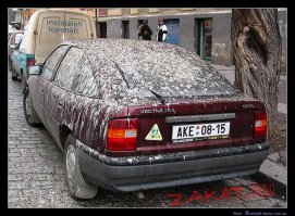 Машина долго стоит под деревом. Причем тут марка авто?
Такой же пост можно сделать про другие марки авто.