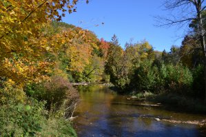 Вот немножко из нашей осени. Последняя - это с наш задний двор. Канада/Онтарио