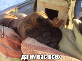 Настоящий чемпион! И не важно, что в личном зачёте!