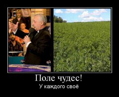 Самые яркие моменты капитал-шоу "Поле чудес", которые мы вспоминаем с улыбкой