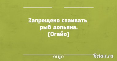 Пьяные рыбы вышли на берег, набили рыбакам морды и отняли выпивку?