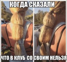 Как спрятать алкоголь в одежде: 13 безумных способов