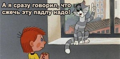 Лучшее картинки за выходные