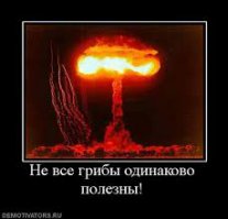 Точно.