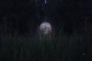 Одна понравилась.