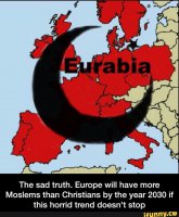 Подпесь (перевожу для тех, кто не силён в языках): печально, но факт - если тенденцию не остановить, к 30-му году в Европе мусульман будет больше, чем христиан. 

И не обманывайте себя, что это не взаимосвязанные вещи.