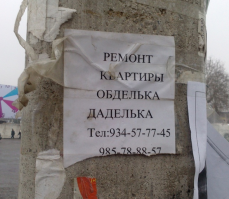 Боги дизайна интерьера 