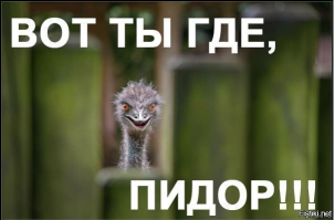 британские учёные уже просто не знают, как привлечь к себе внимание, пошли проверенным путём № 4, за что и ловите соответствующего страуса