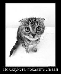 Хватит кромсать пенисы