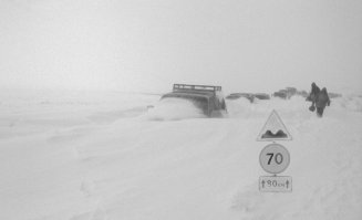 20 людей, которые ехали, ехали и наконец приехали