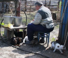 Операция "РЫБА"