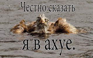 Как стать экстремалом в инстаграм, не рискуя жизнью