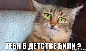 Безумный обгон. Вот это пронесло! 