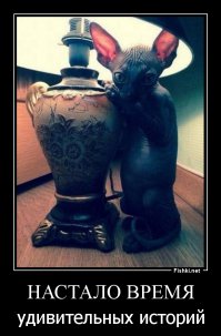 Про Инку, счастье и 100 рублей