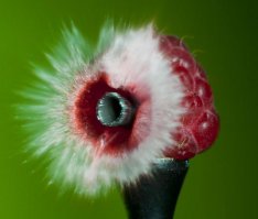 10 невероятных военных фотографий