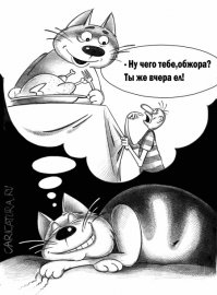 Мир глазами котов в забавных картинках