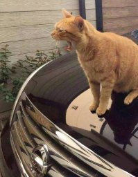 ТЕПЕРЬ ПАССАТ