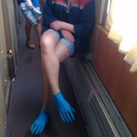 Семейство руконогих.