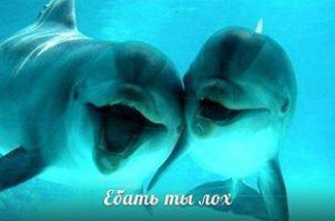 при том, что наши на такое уже не ведутся. ну или если совсем дурачки.

пришла пора и крымчанам покормить мошенников.

будут тоже становиться россиянами, чо.