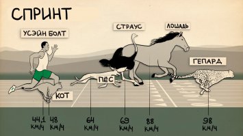 Гепарда "засудили" :) Он до 130 может бегать иногда.