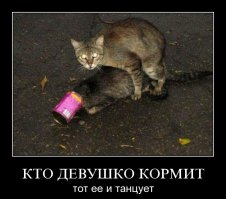 25 очень забавных животных, которые сами загнали себя в ловушку
