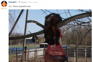 Да все видят, что не городская