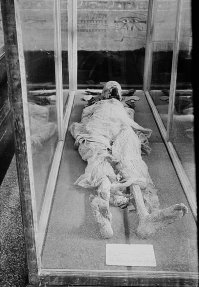 Вау, да ладно. Знакомьтесь, царь Древнего Царства - Меренра. Мумия была найдена в своей же пирамиде в Южной Саккаре. Его мумия выставлена в музее Имхотепа.