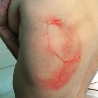 Фотоподборка за 16.12.2015