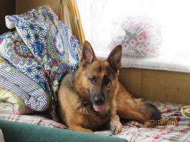 Моё "чудовище"