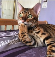 Грустно когда видишь, как в человеке умирает талант