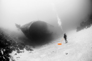 20 лучших фотографий года по версии читателей National Geographic