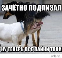 Легендарные фразы