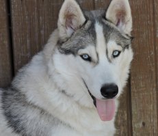 Наш красавчик))))))