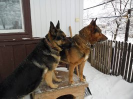 Мои красавчики)))