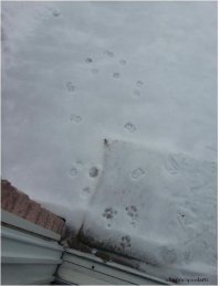 Все, я погулял!