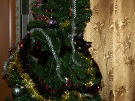 Из личного)