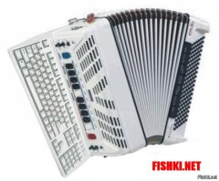 Как не быть жирной ленивой свиньей и начать жить