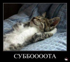 Шашлычок жарили? 