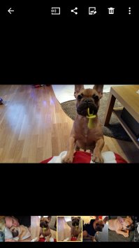 Вот такой этот Дед Мороз.