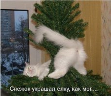 Котейки, которые помогают наряжать елку и делают Новый год незабываемым