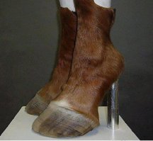 афтарский гардероб: