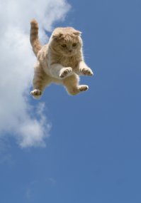 20 людей, которые очень удобно расположились