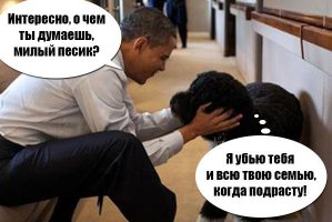 О чём думают собаки?