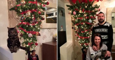  Когда нет лишнего места в комнате