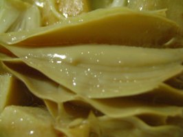 21 доказательство того, что Фрейд был прав