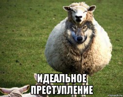 Это просто идеальное преступление!