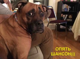 Вышвырнули из такси